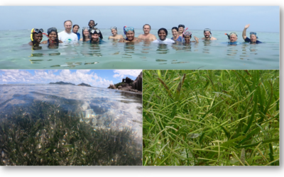 Blue Carbon – Seagrass Habitats in Seychelles: the state of knowledge