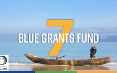 The Blue Grants Fund 7 is open for applications
