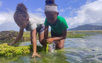Little explorers promoting climate action through a transformative learning programme on marine life and fisheries