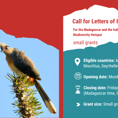 CEPF Linkedin designs(12)