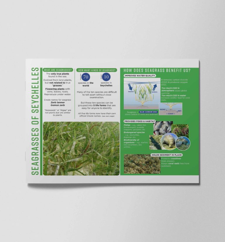 Seagrass Guide Scientific