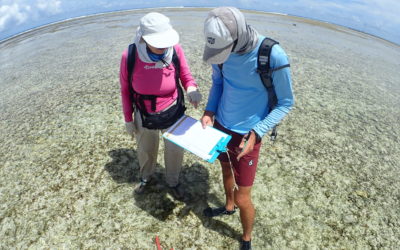 New study sheds light on the distribution of seagrass in Seychelles’ EEZ